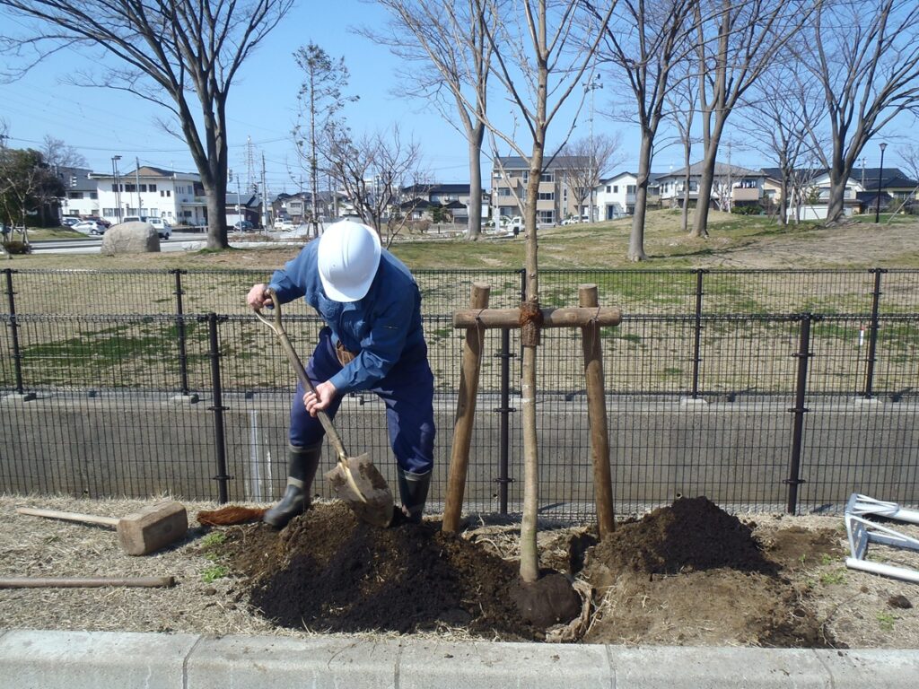 植栽工事（庭木の植木み・移植1歩本から）